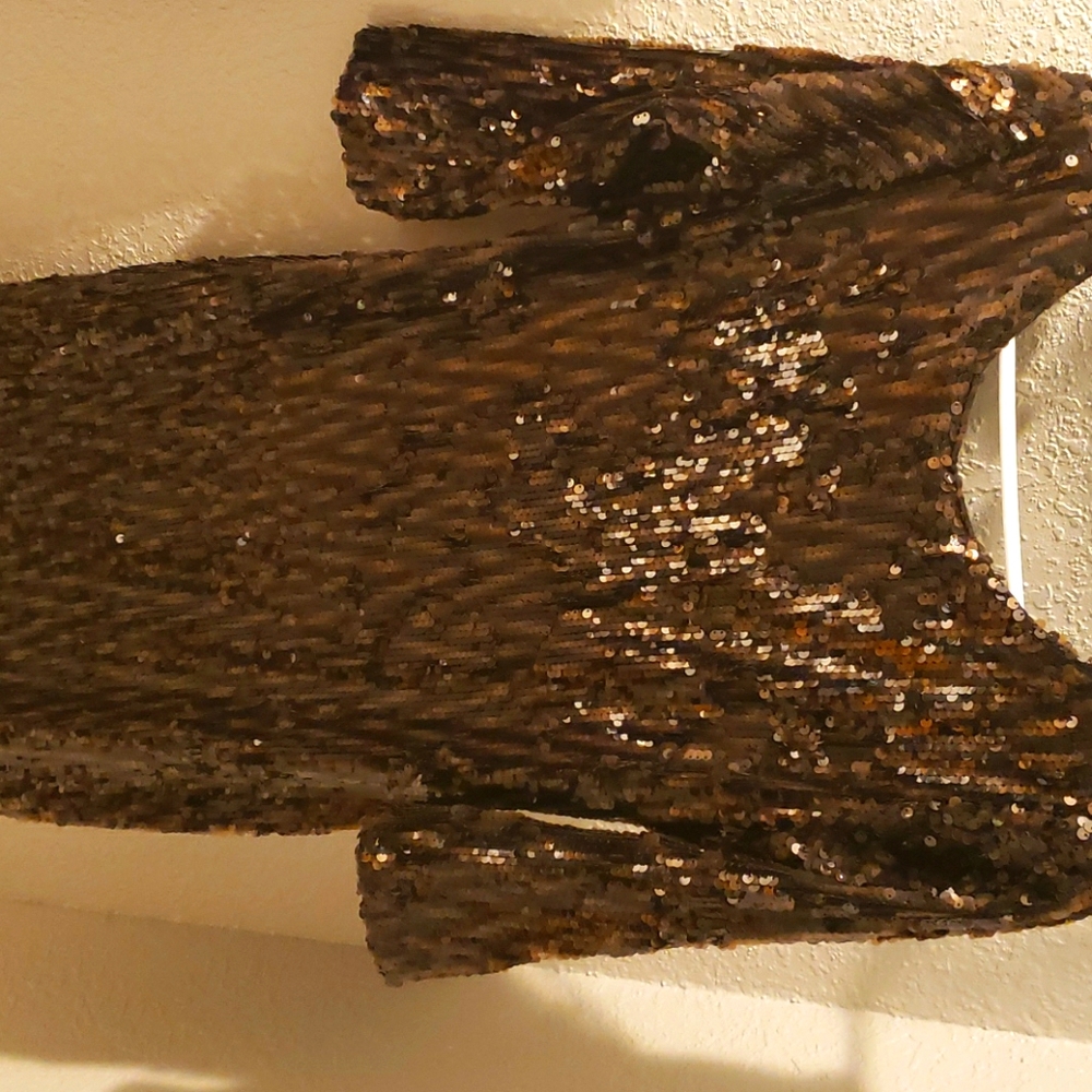Beautiful chocolate brown sequin dress